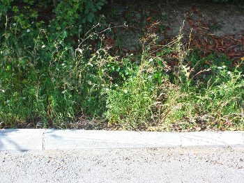 FINALGO Vakuum Trottoir-Randsteine